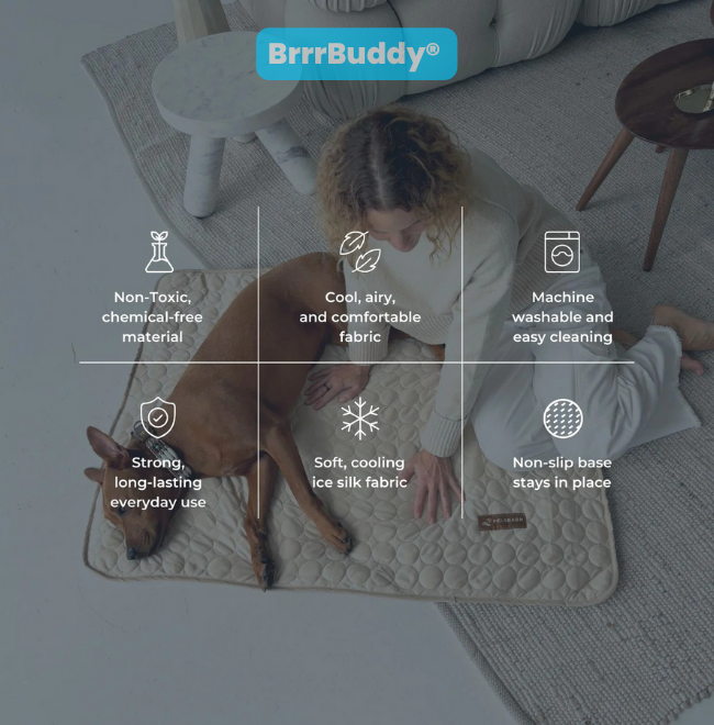 BrrrBuddy™ Pet Cooling Mat