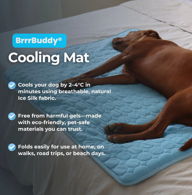 BrrrBuddy™ Pet Cooling Mat