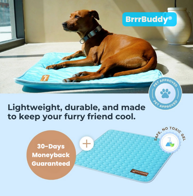 BrrrBuddy™ Pet Cooling Mat