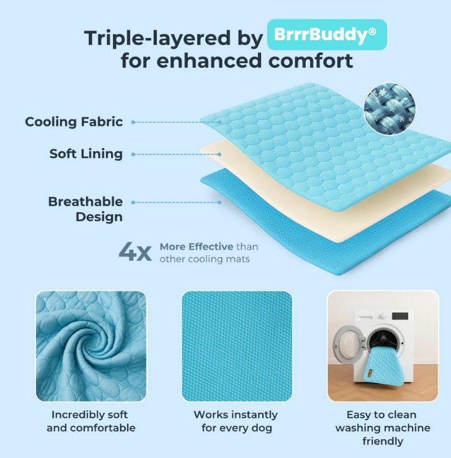 BrrrBuddy™ Pet Cooling Mat
