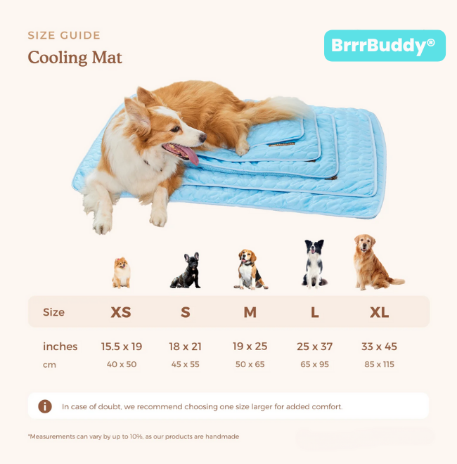 BrrrBuddy™ Pet Cooling Mat