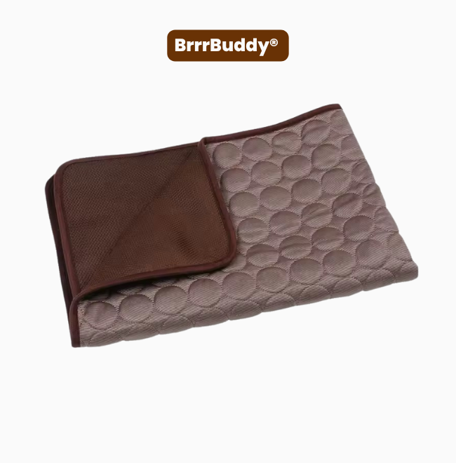 BrrrBuddy™ Pet Cooling Mat