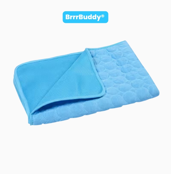BrrrBuddy™ Pet Cooling Mat