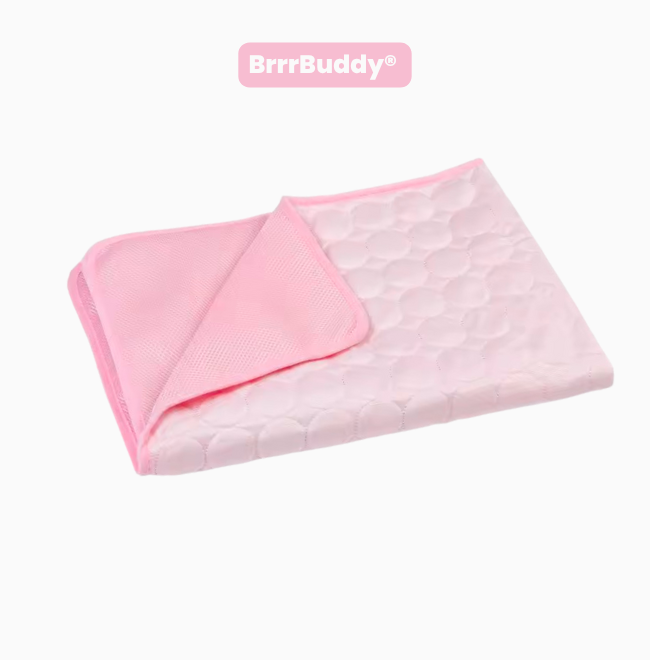 BrrrBuddy™ Pet Cooling Mat