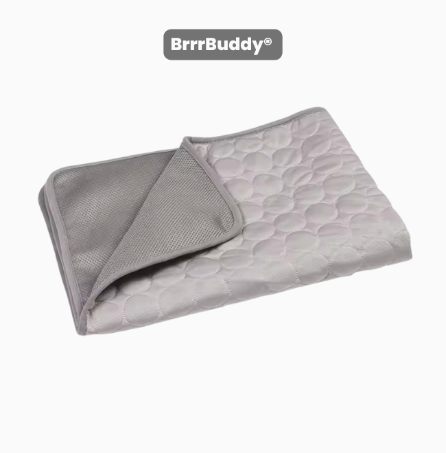 BrrrBuddy™ Pet Cooling Mat