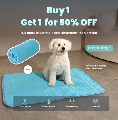 BrrrBuddy™ Pet Cooling Mat