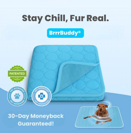 BrrrBuddy™ Pet Cooling Mat