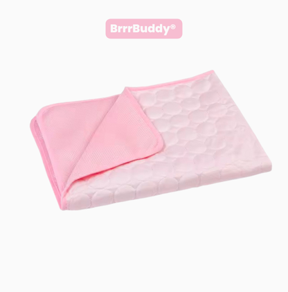 BrrrBuddy™ Pet Cooling Mat